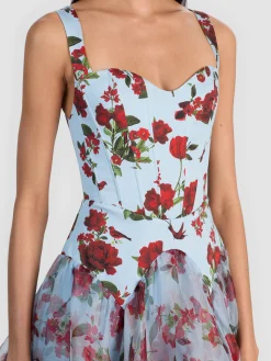DOROTHEA PRINTED BALLGOWN